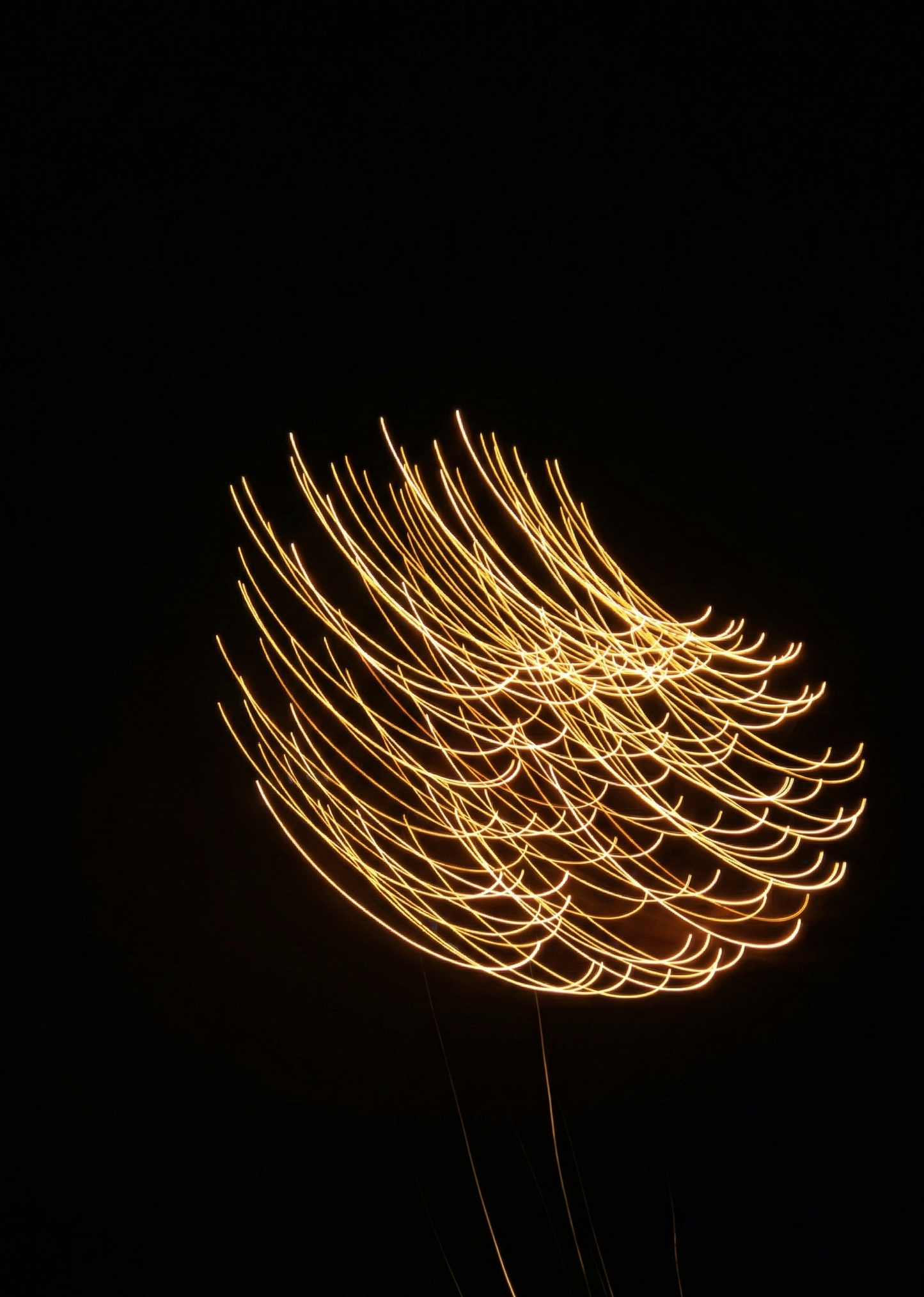 Adhipa Vimana Earring