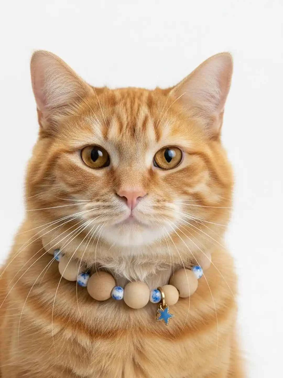 Beachy Necklace for Pet