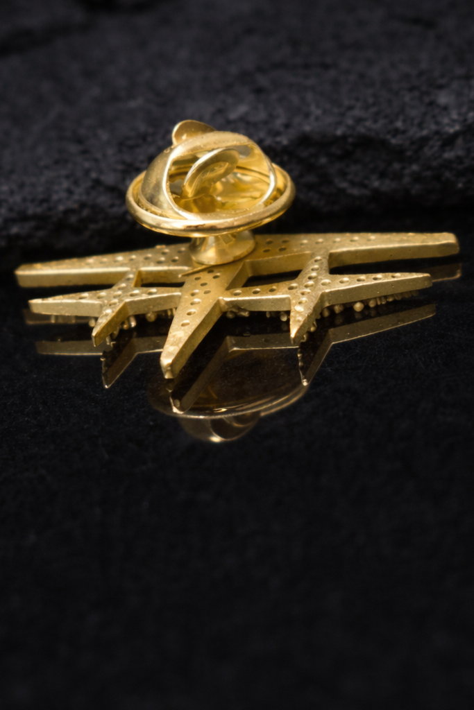 Near Earth Object | Gold military insignia badge on a black background