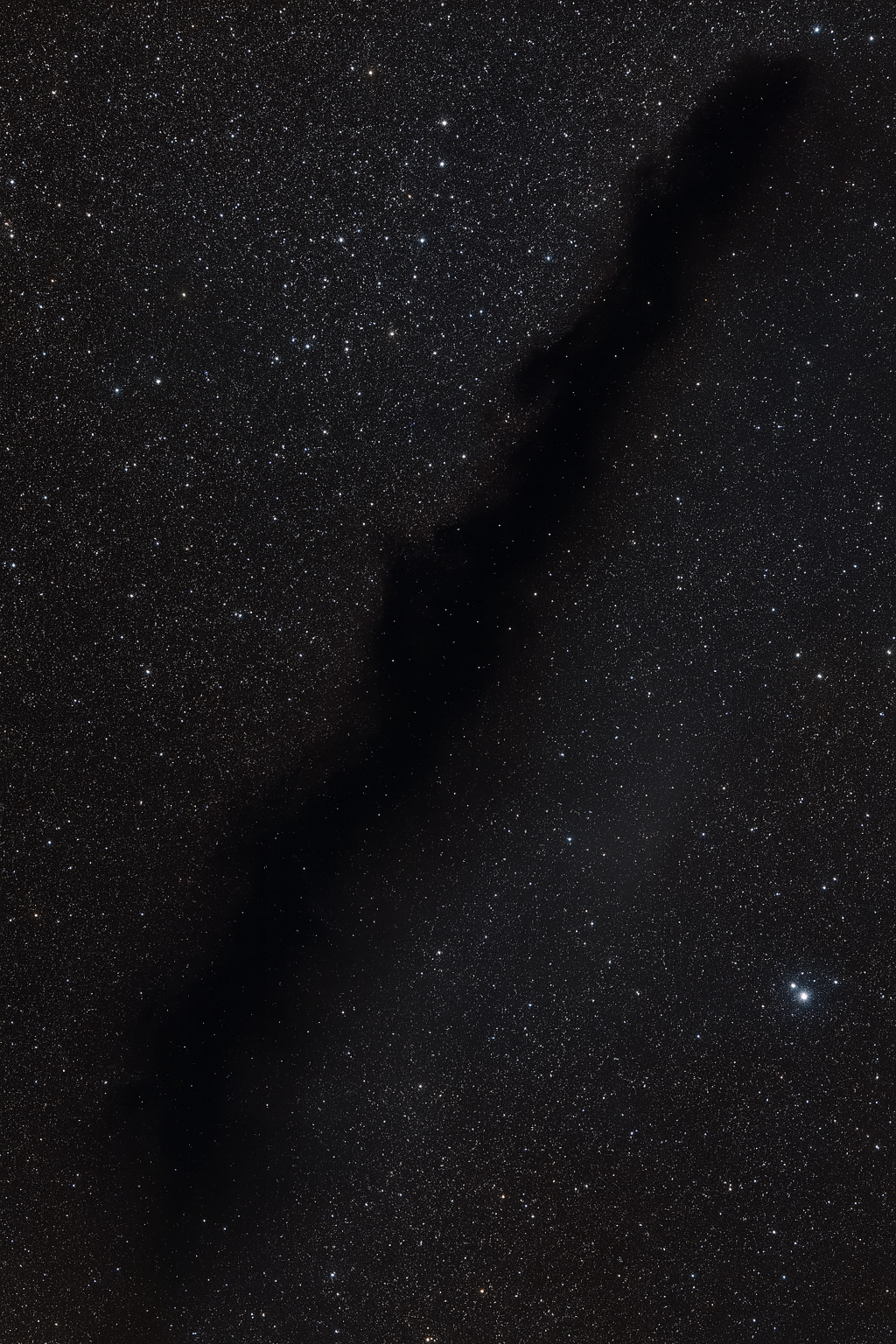 Black Eclipse Veil Pant With Celestial Elixir & Solar Drip Orbs - Pret Clothes & Statement Jewellery by nEo Near Earth Object