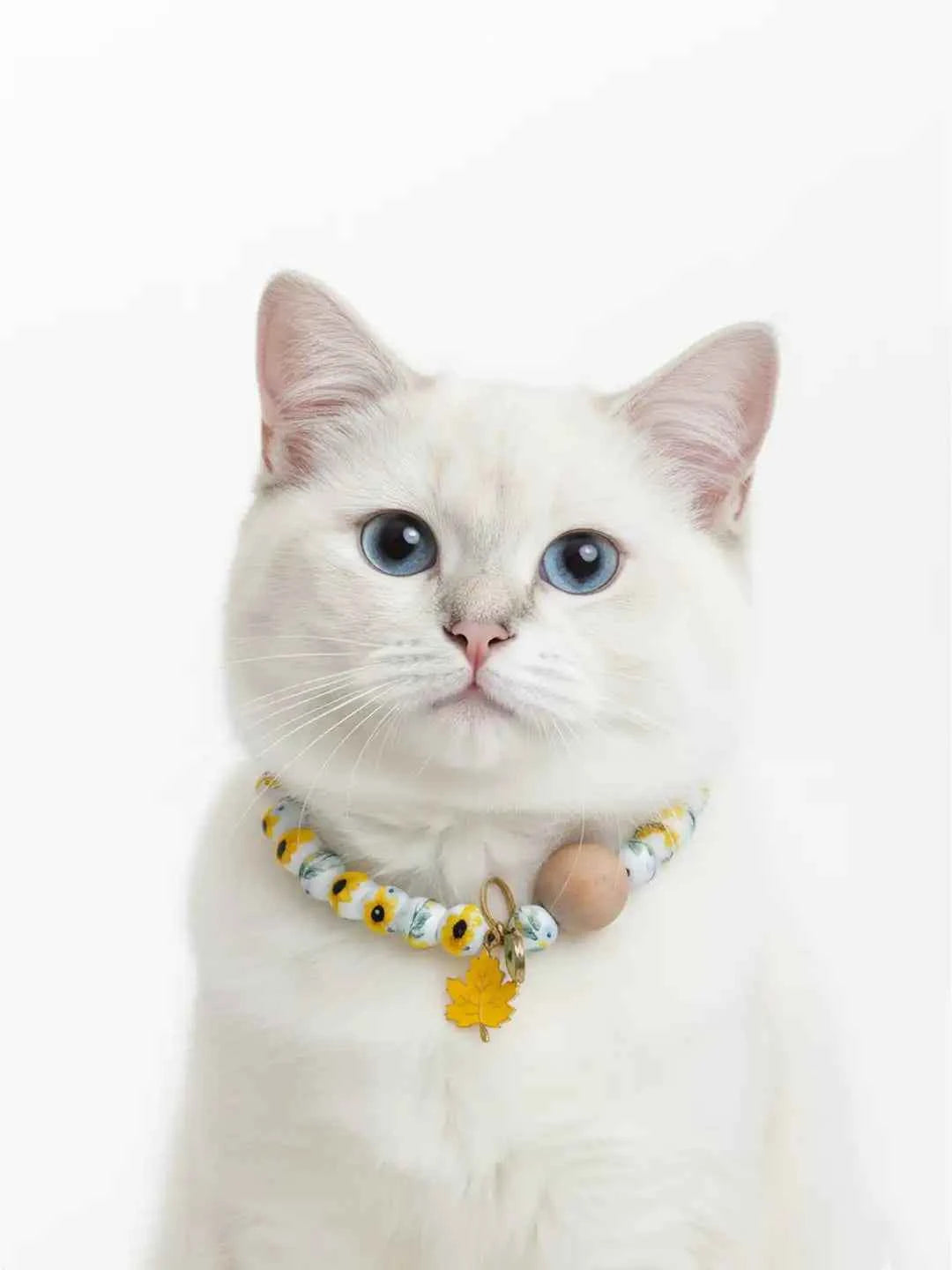 Floral Summery Pet Necklace