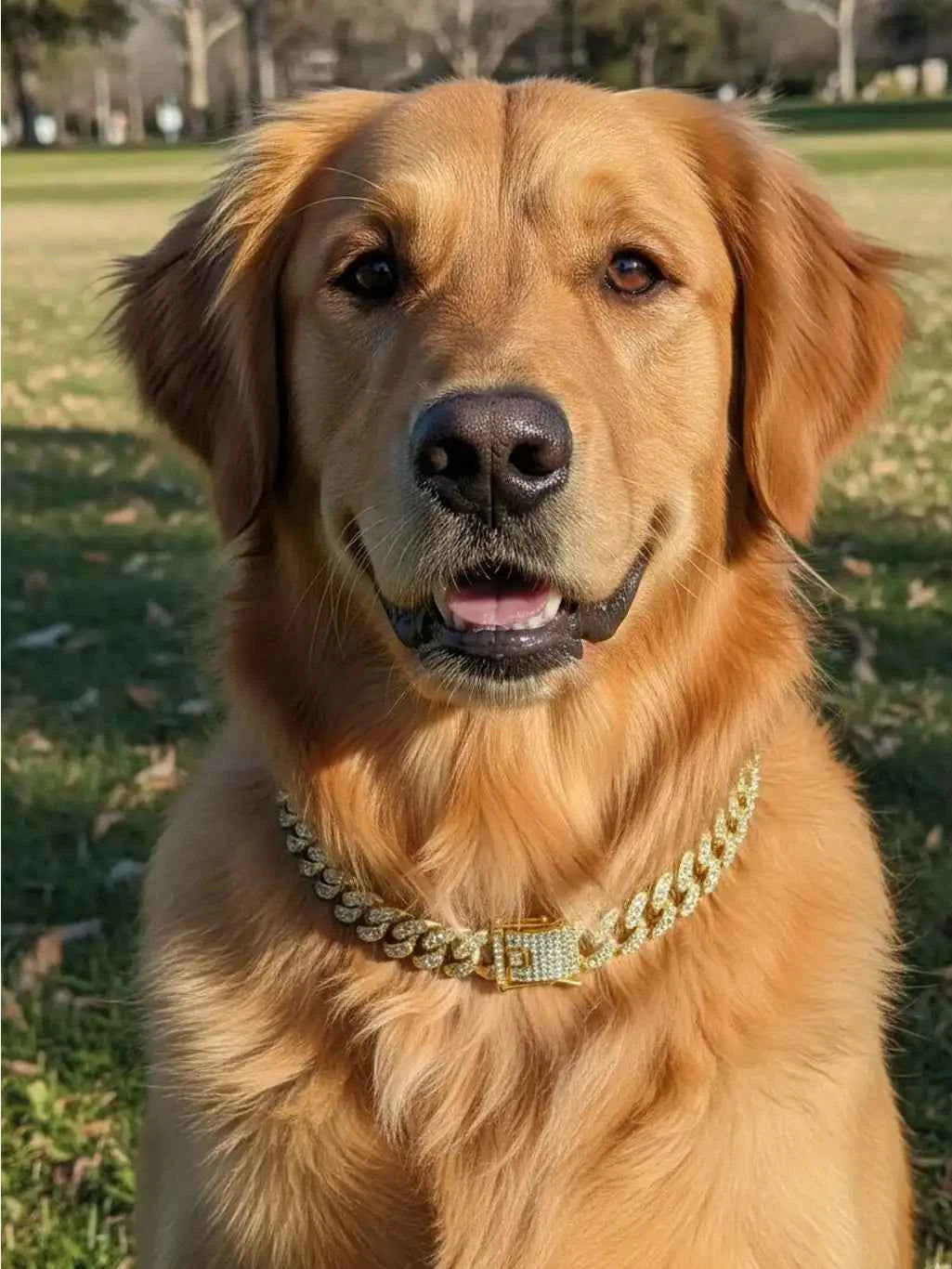 Gold Crystal Collar - Pet Necklace