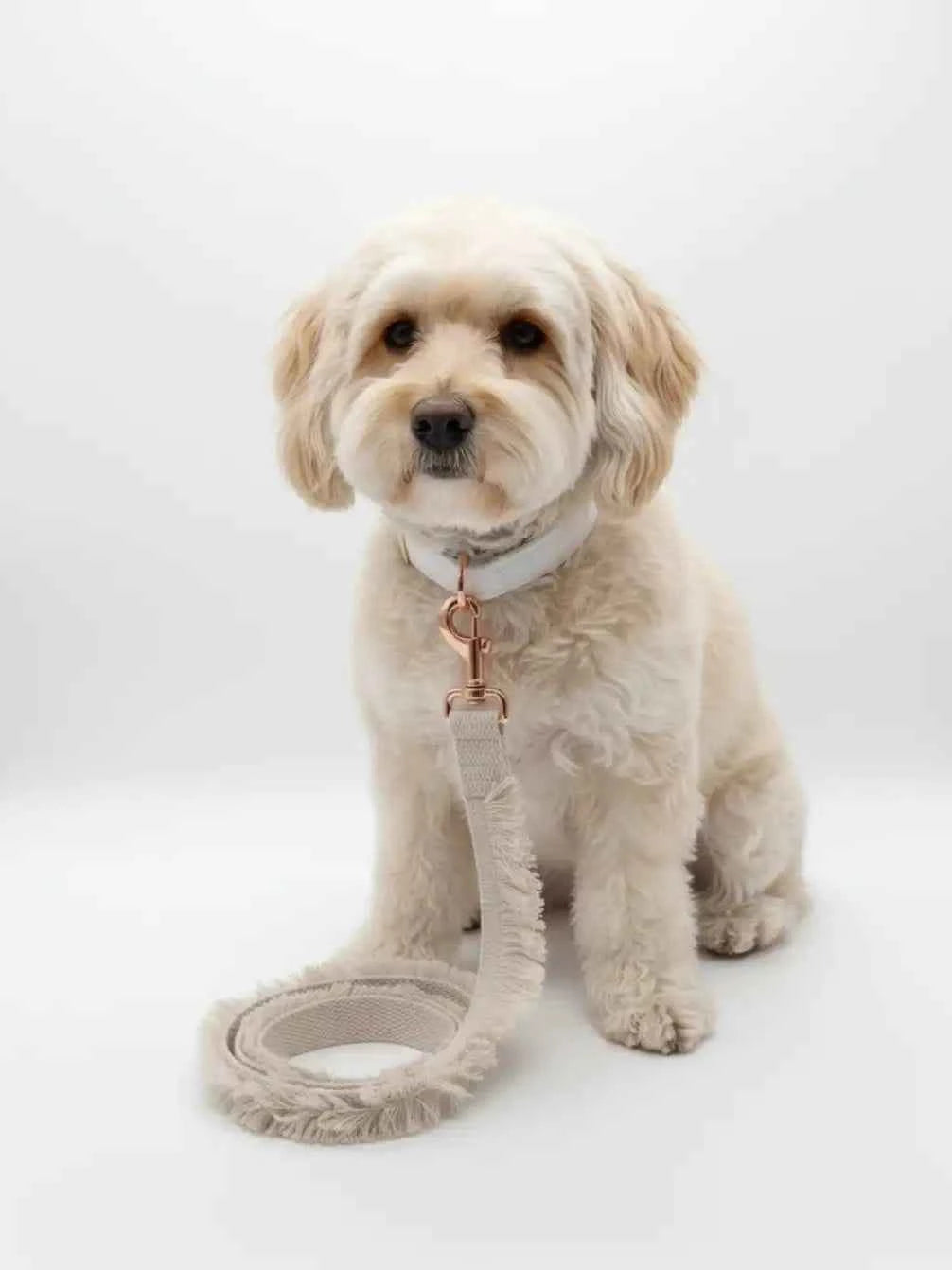 Ivory Trail Pet Leash