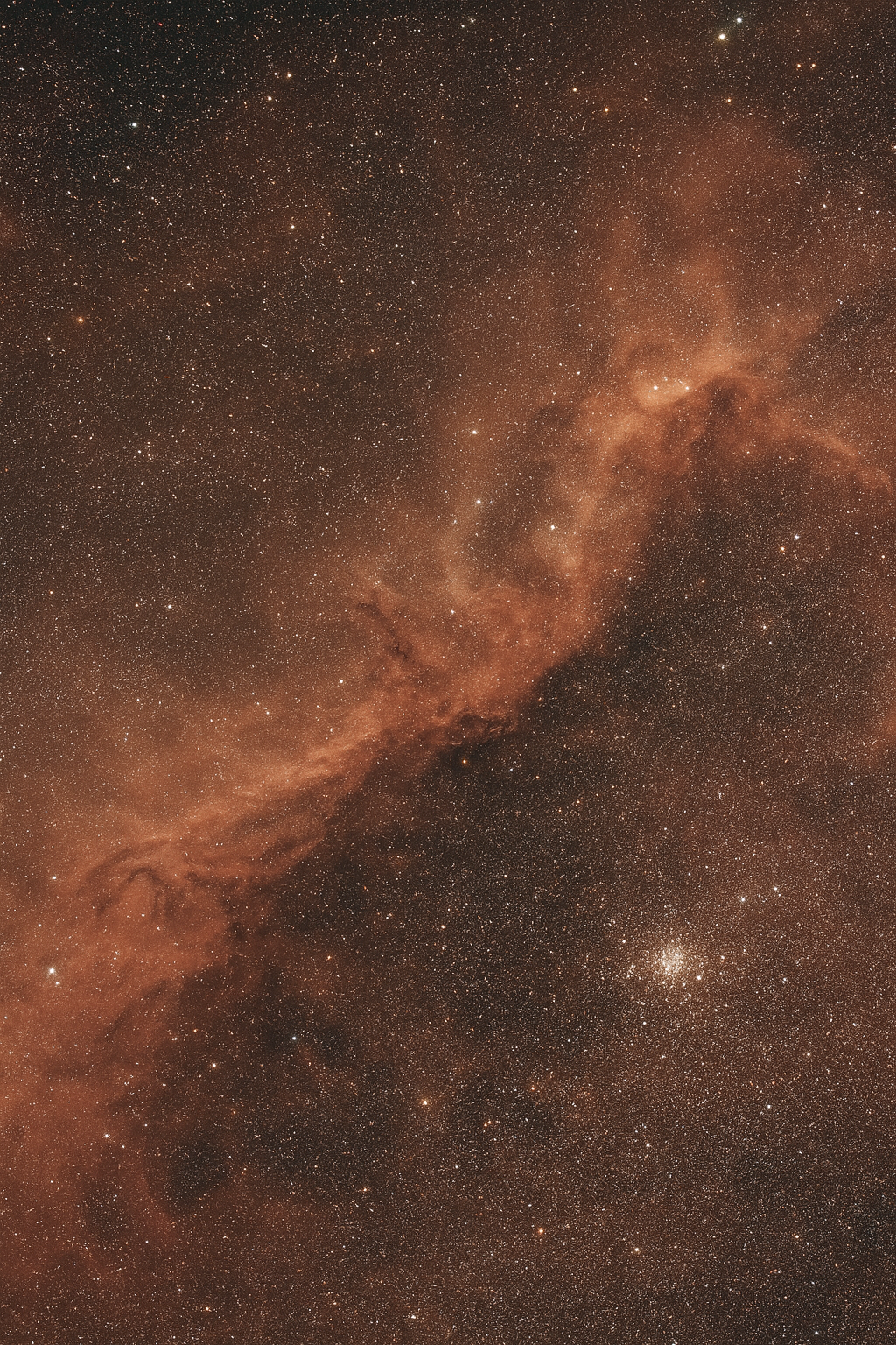 Beige Stellar Flare Pant With Golden Earring & Hand Cuff - Pret Clothes & Statement Jewellery by nEo Near Earth Object