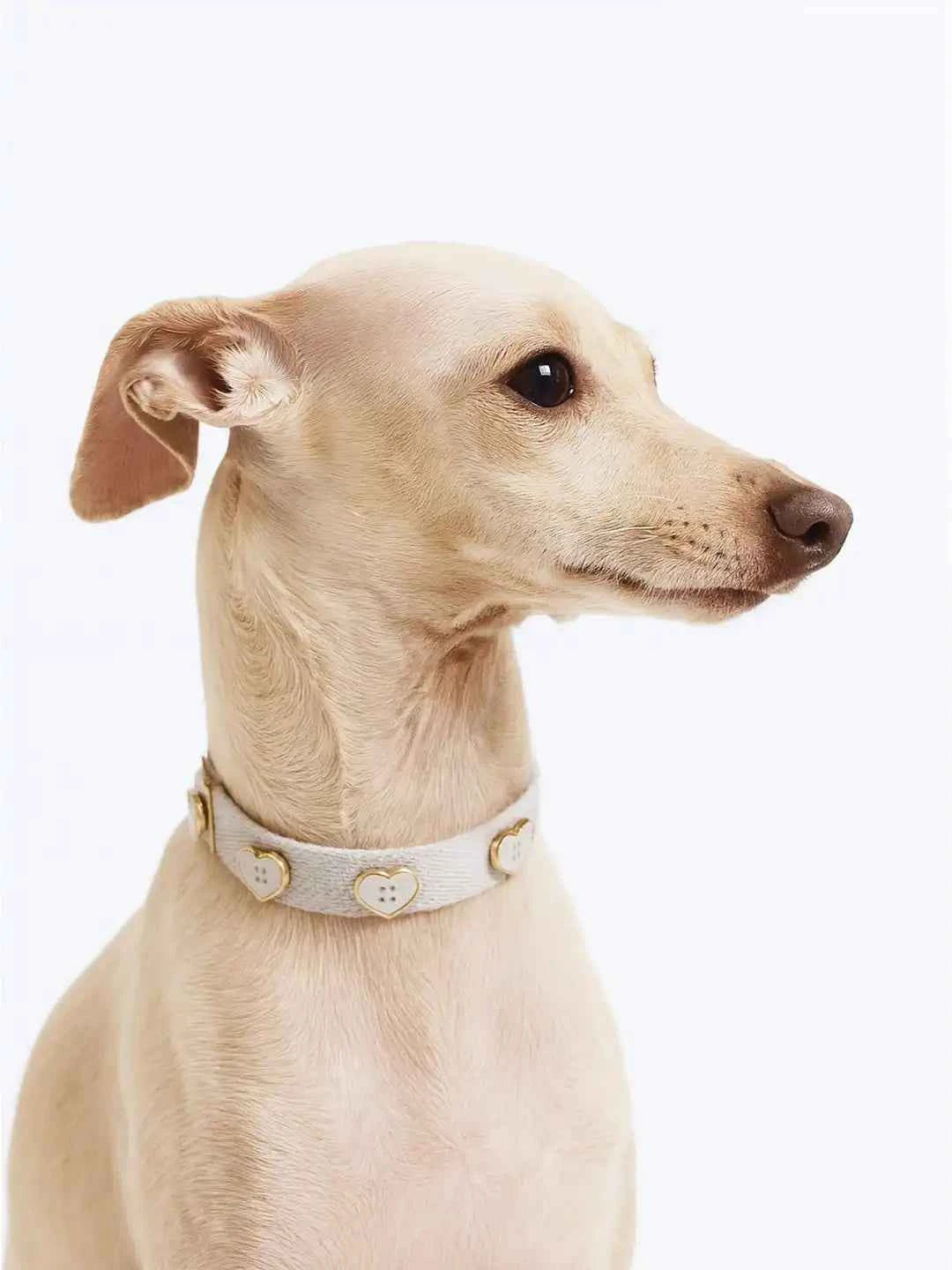 Organic White Heart Pet Collars