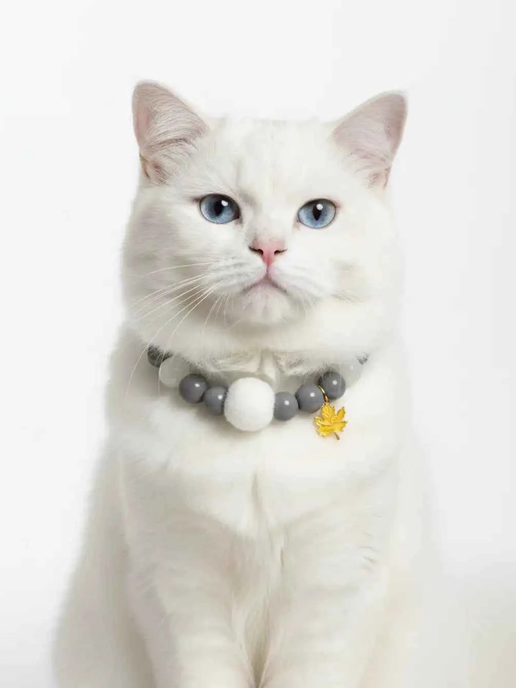Playful Ceramic Necklace for Pets