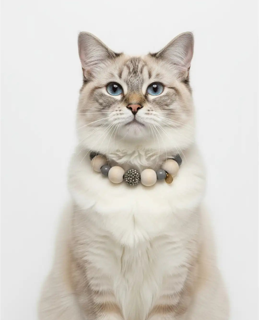 Sophisticated Charm Pet Necklace
