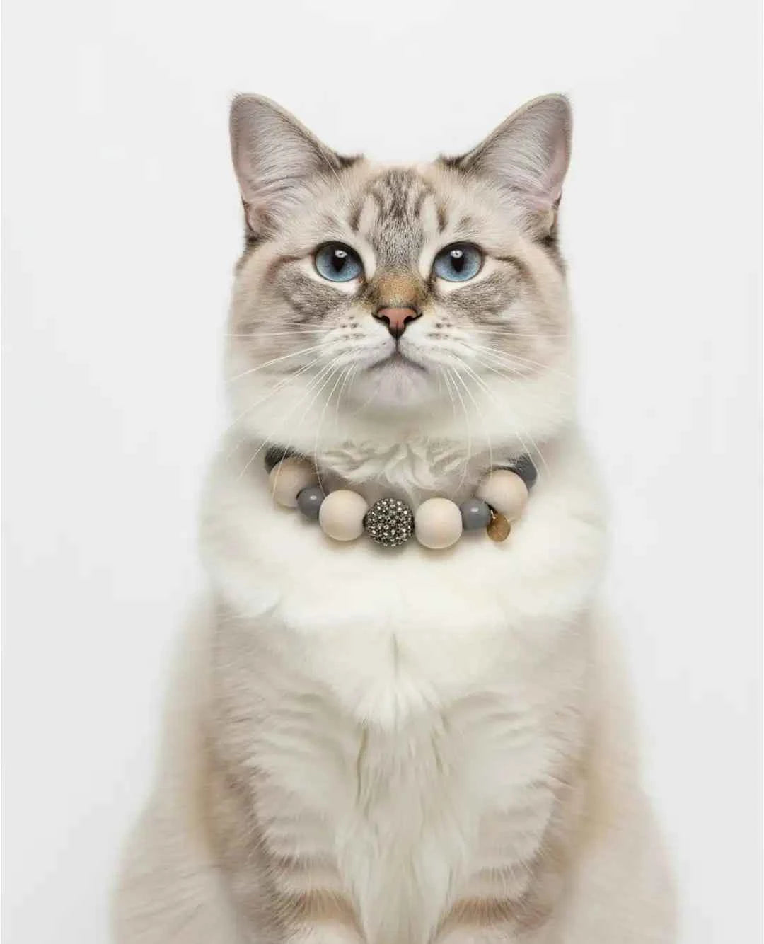 Sophisticated Charm Pet Necklace