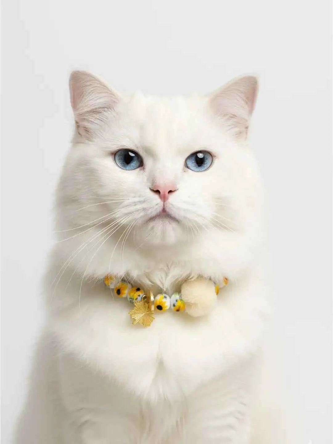 Sun-Kissed Blossom Pet Necklace