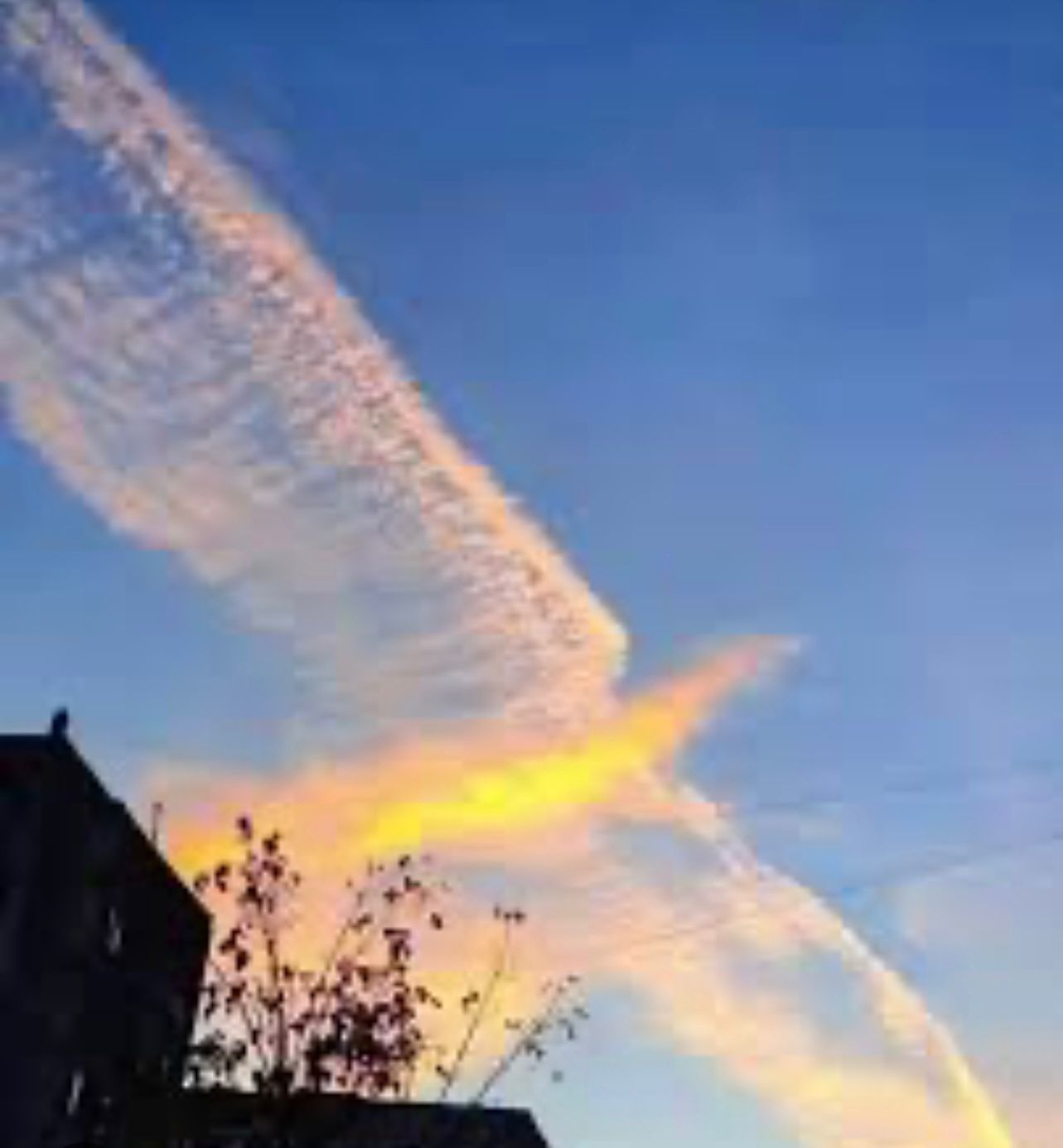 Coca Cola Phenix Supernova Dress - Pret Clothes by nEo Near Earth Object