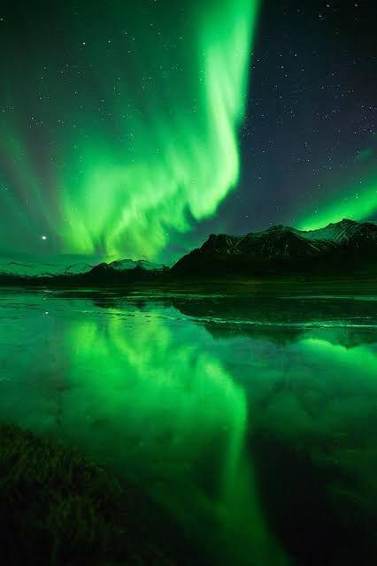 Aurora Borealis reflected in a calm body of water with mountains in the background. | Women's Skirt | Pret Clothes | nEo Clothes