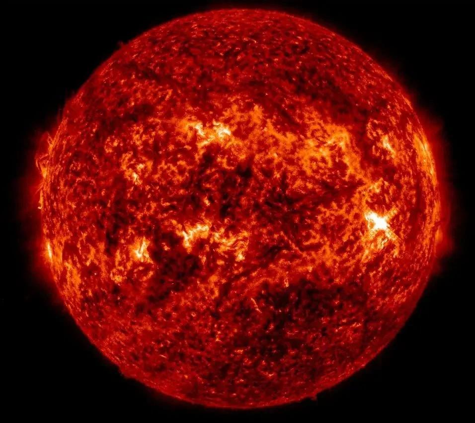 Solar Seeds Earrings