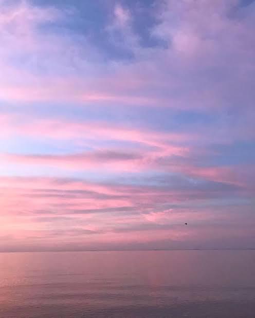 Pink and purple clouds over a calm sea | Women's Pants | Bottoms | Pret Clothes | nEo Clothes.