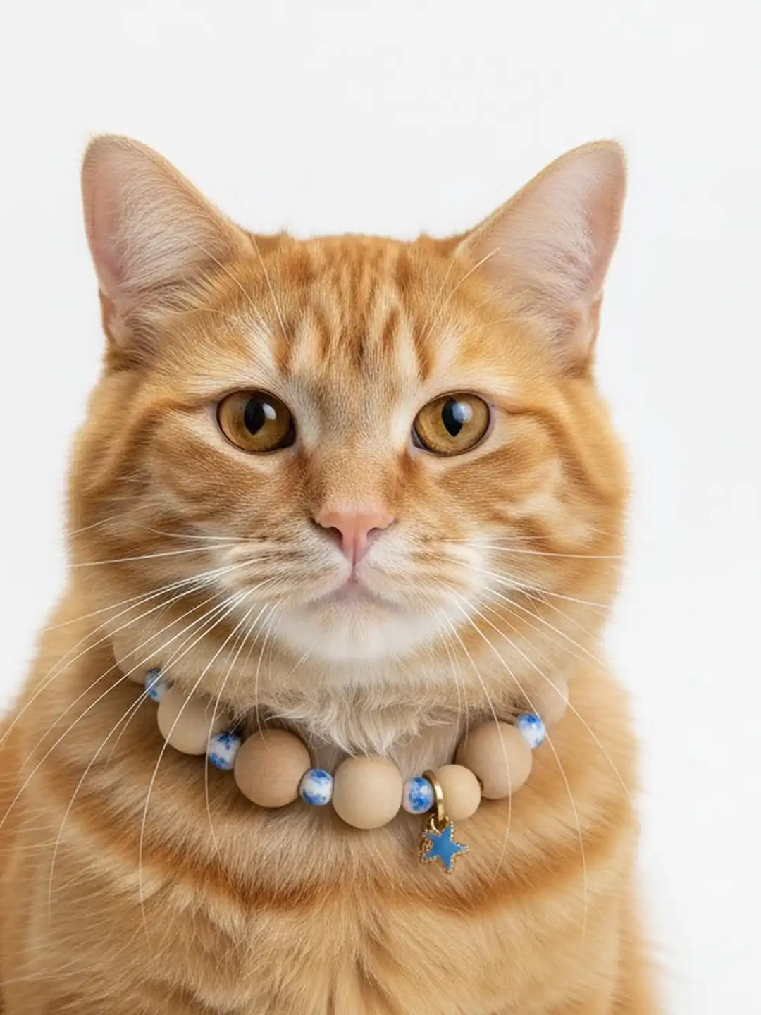 Orange tabby cat wearing a beaded necklace 