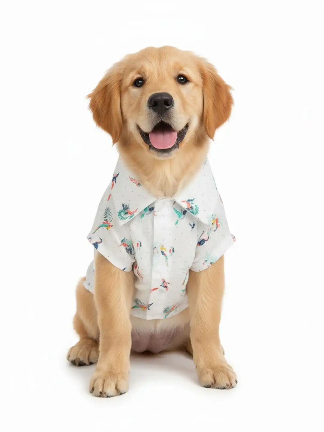 Dog wearing a white shirt with bird pattern