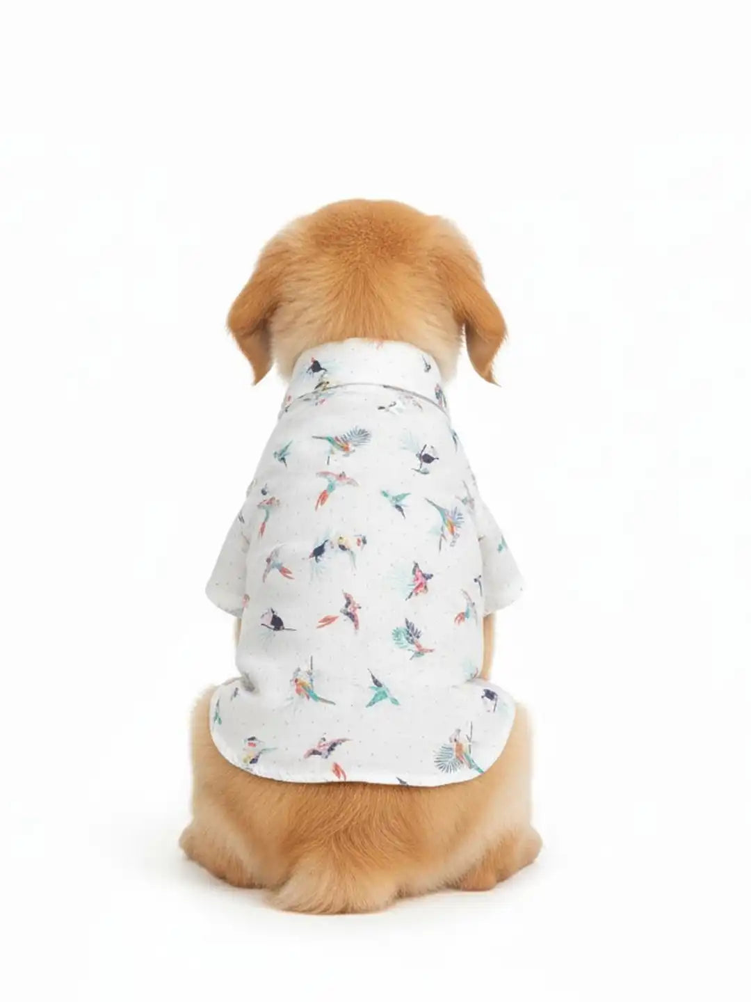 Dog wearing a white shirt with colorful bird pattern 