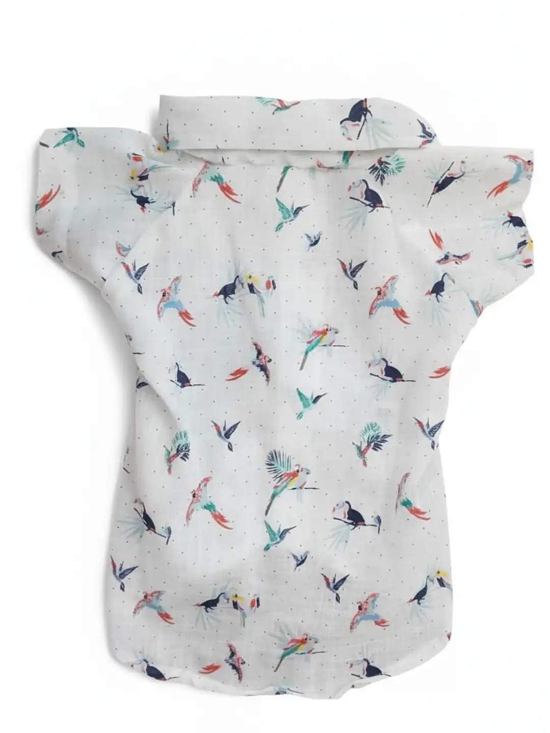 pet colorful bird pattern