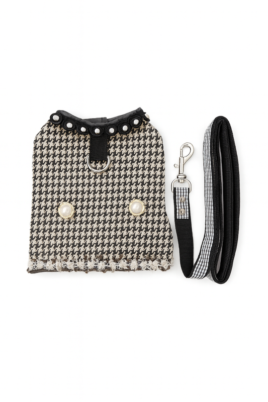 Too glam to give a damn Harness and Brown Leash Set