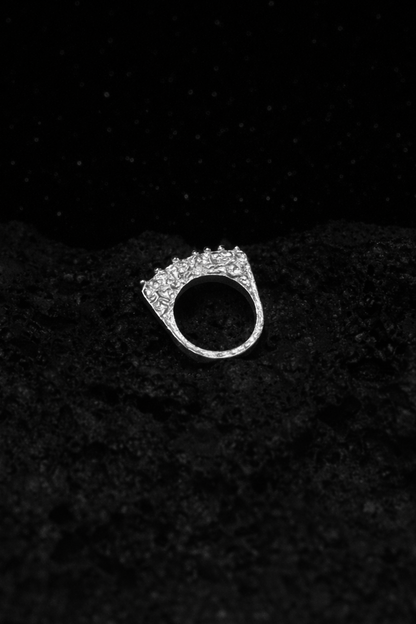 Aurora Crest Crome Ring