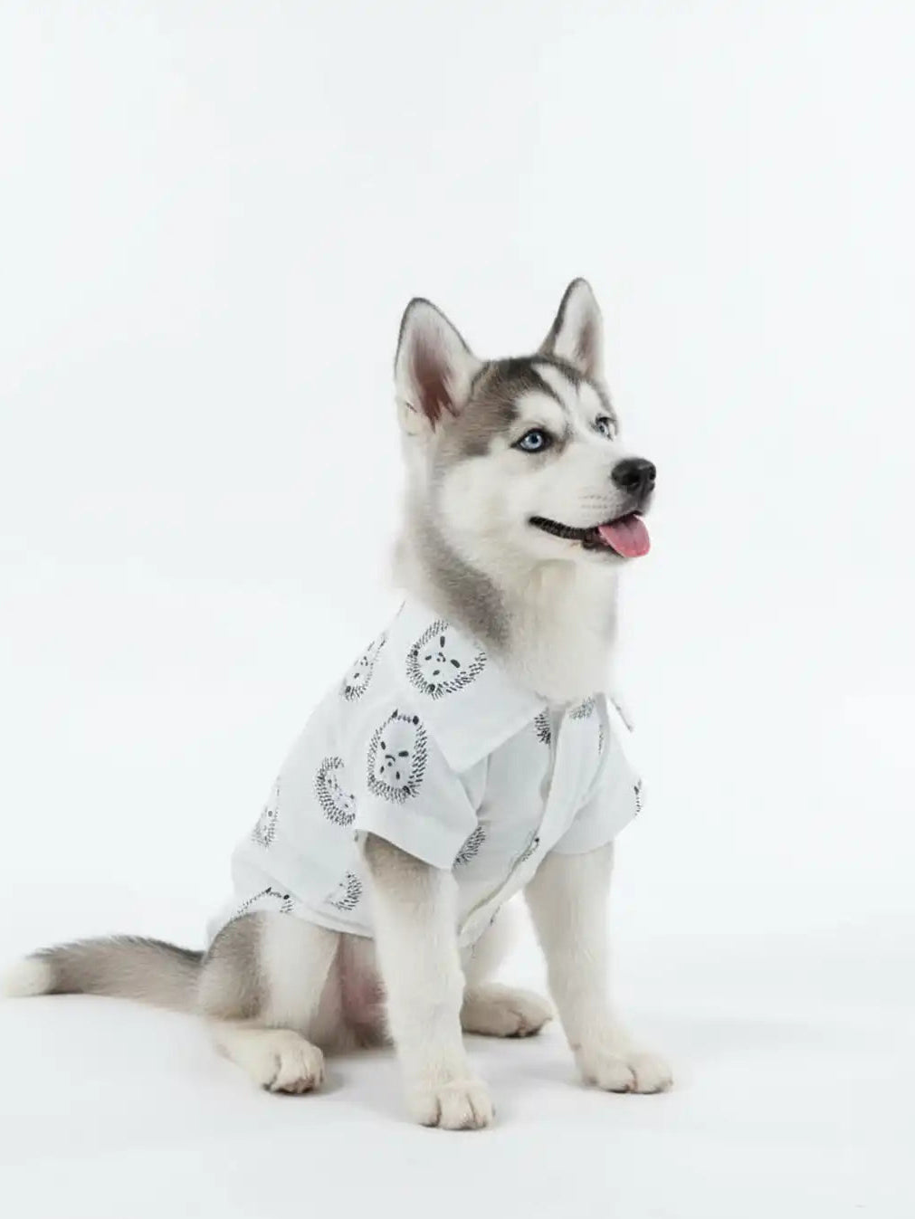 Dog wearing a white outfit with black patterns 