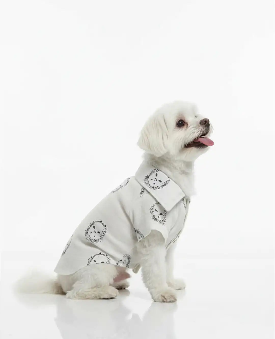 Small dog wearing a white outfit with black patterns 