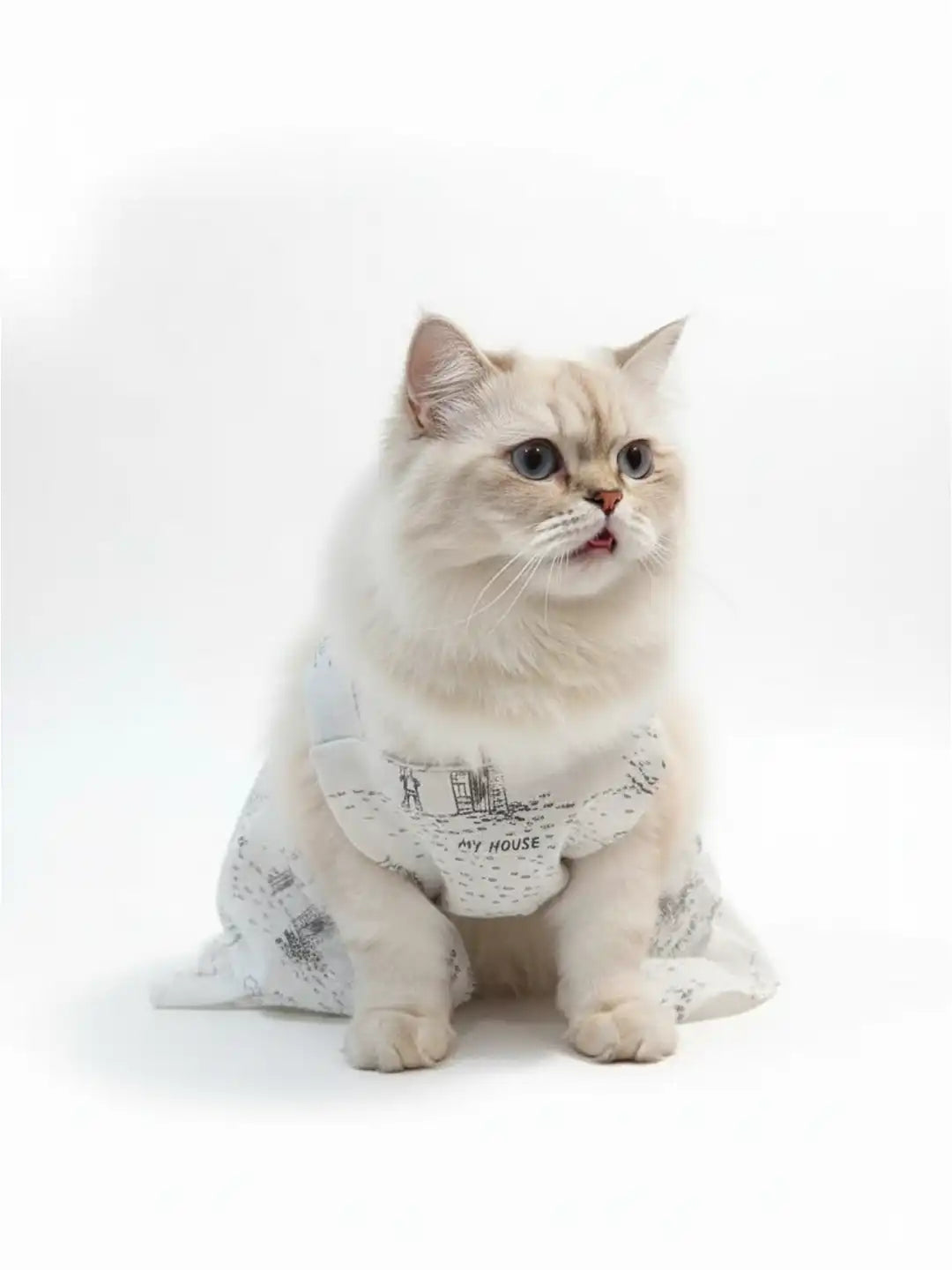 Cat wearing a patterned shirt 
