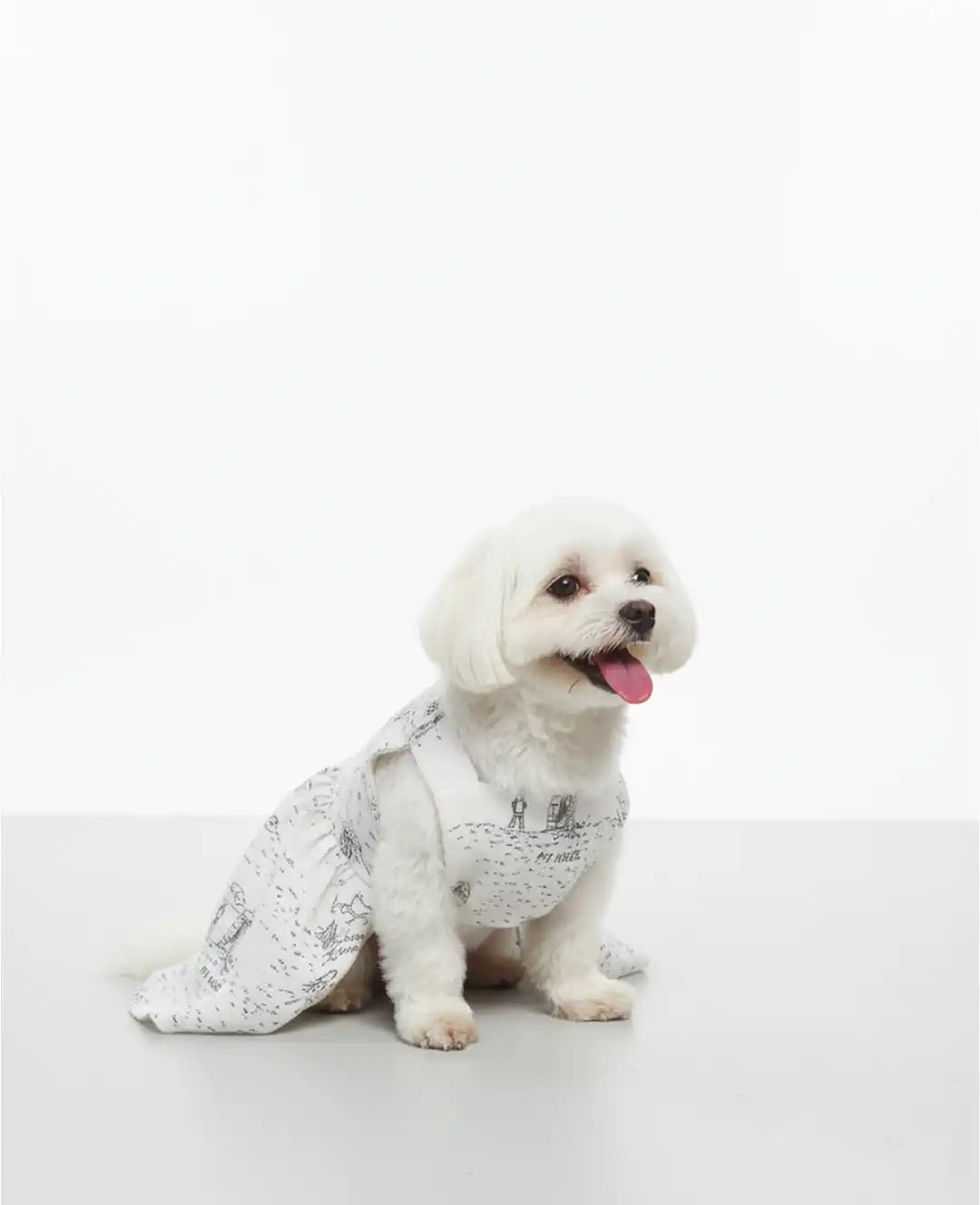 Small white dog wearing a patterned outfit