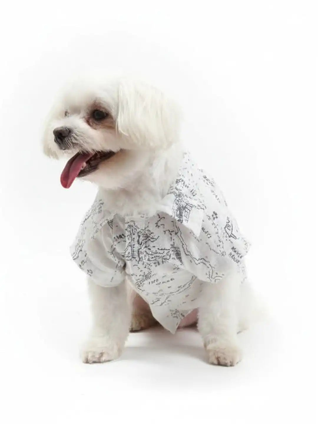 Small white dog wearing a patterned outfit 