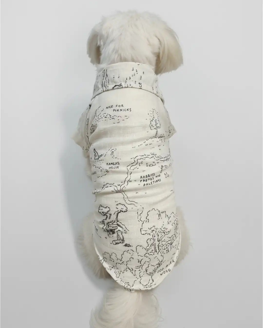 Dog wearing a white outfit with black text and graphics 