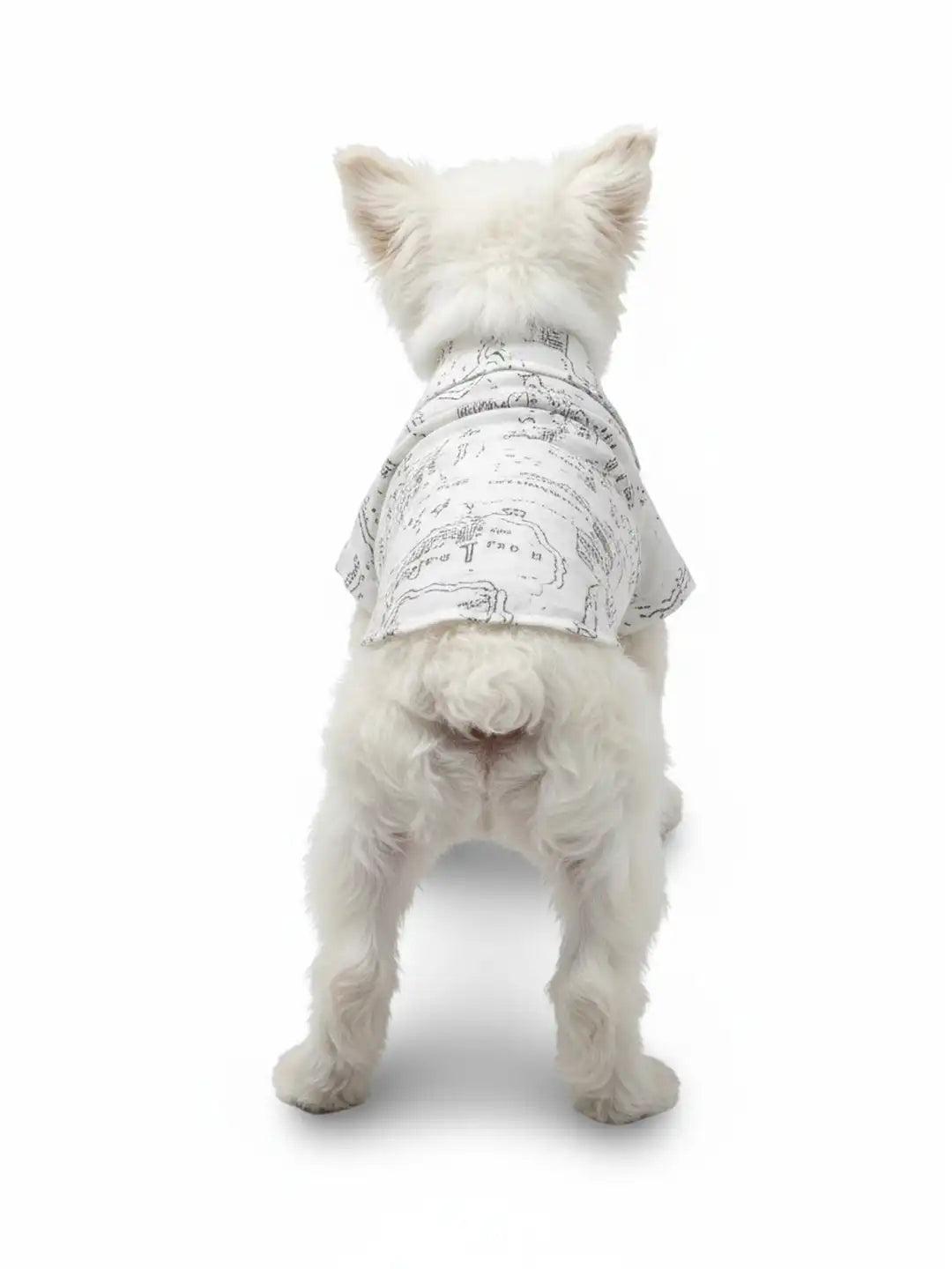 White dog wearing a patterned shirt 