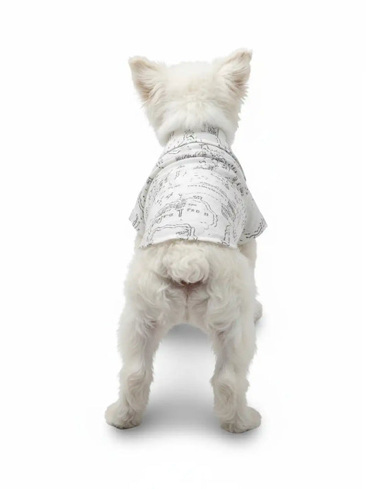 White dog wearing a patterned shirt 