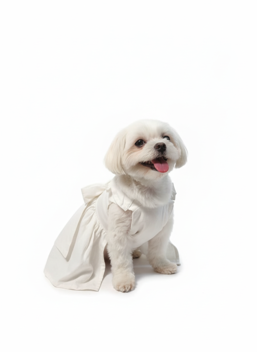 Ivory Bloom Pet Dress