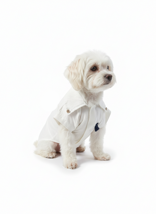 Pawfect Gentleman Shirt