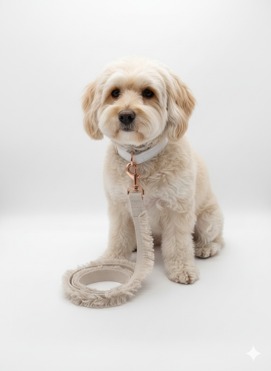 Ivory Trail Pet Leash