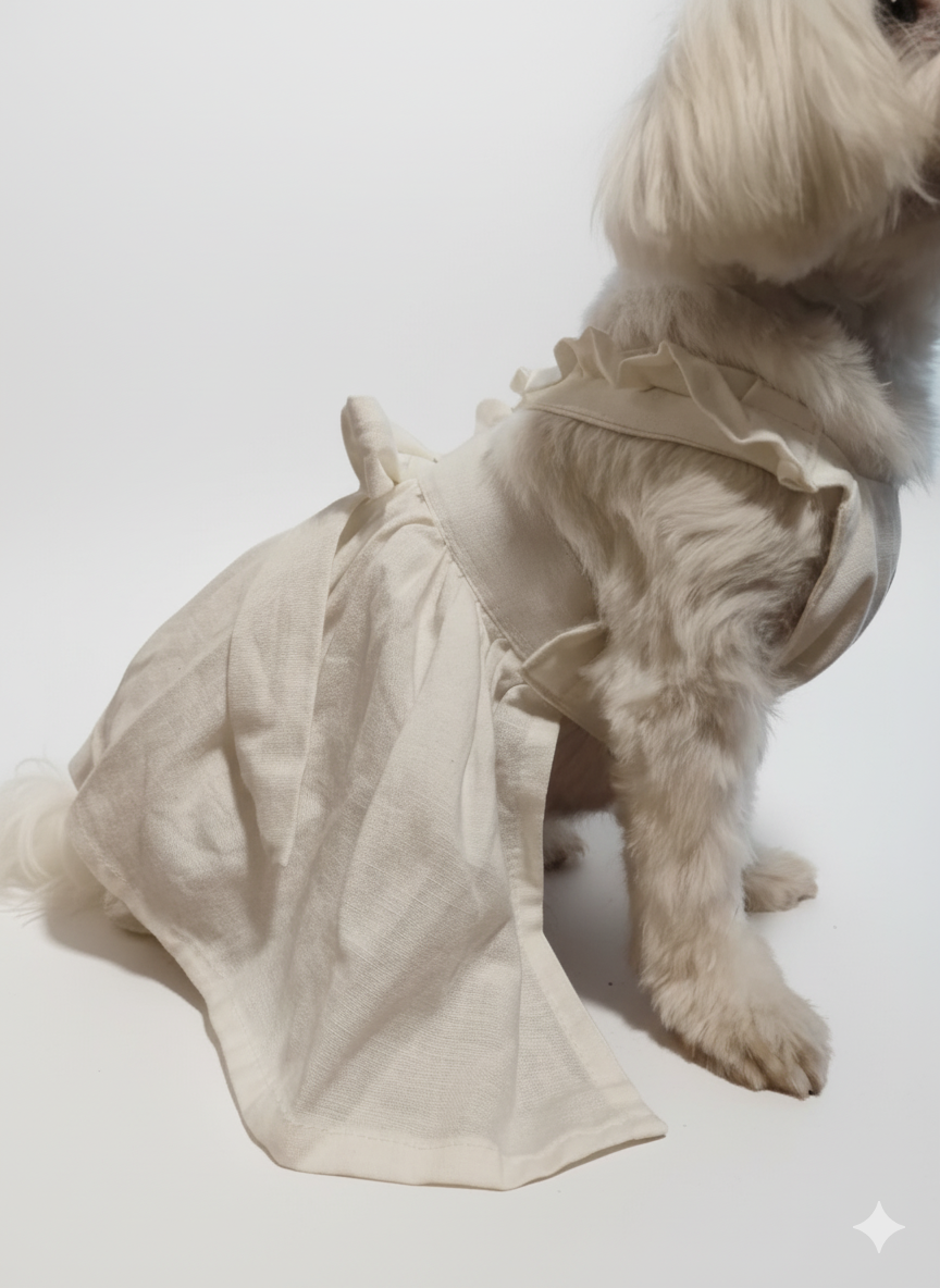 Ivory Bloom Pet Dress