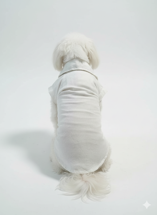 Pawfect Gentleman Shirt