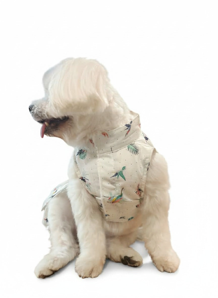 Birdsong Breeze Dress