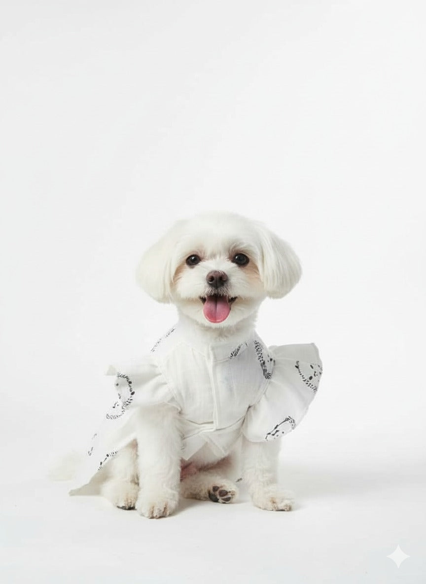 Fluffy Hedgehog Pet Dress