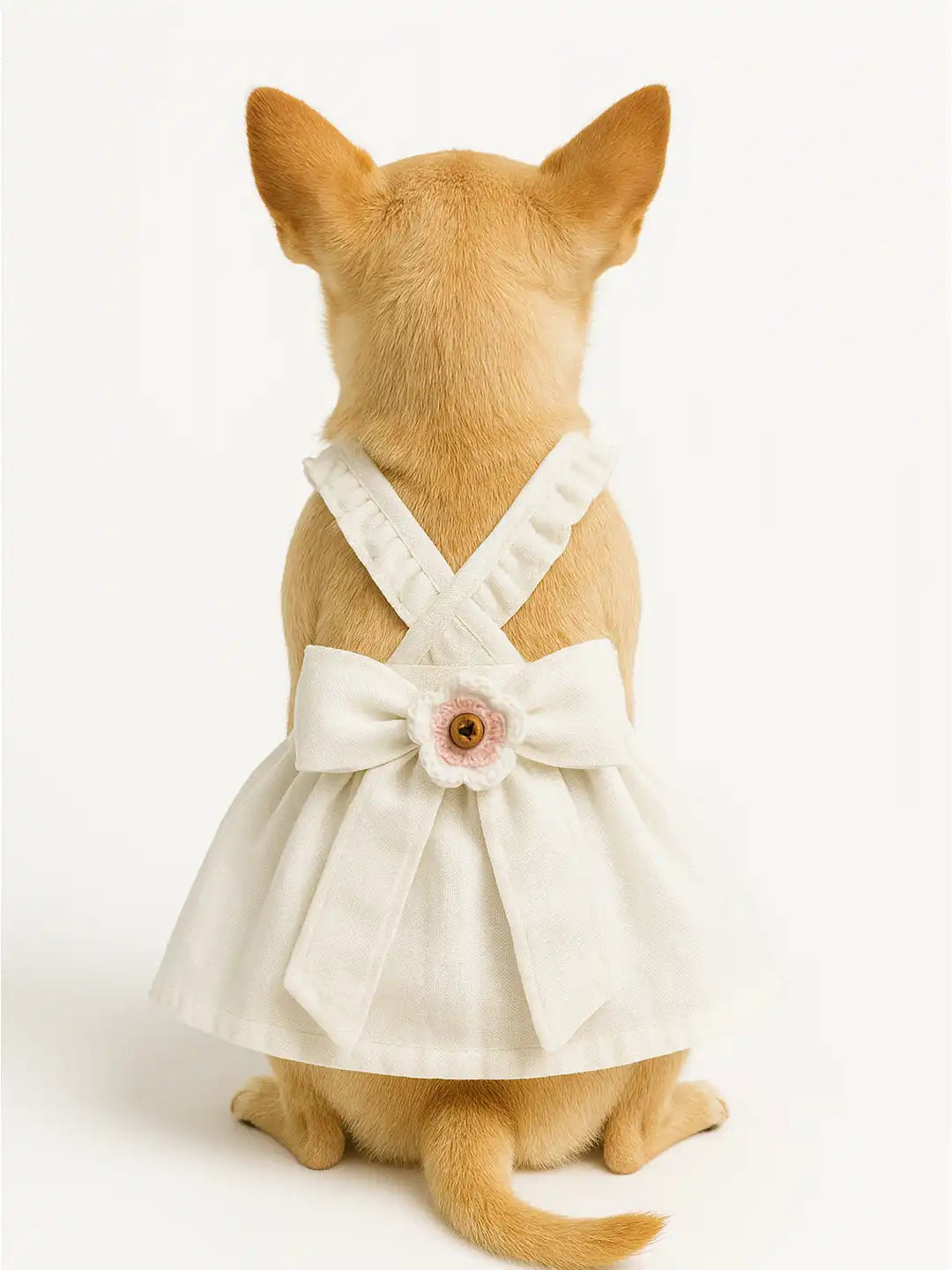 Small dog wearing a white dress with a bow 