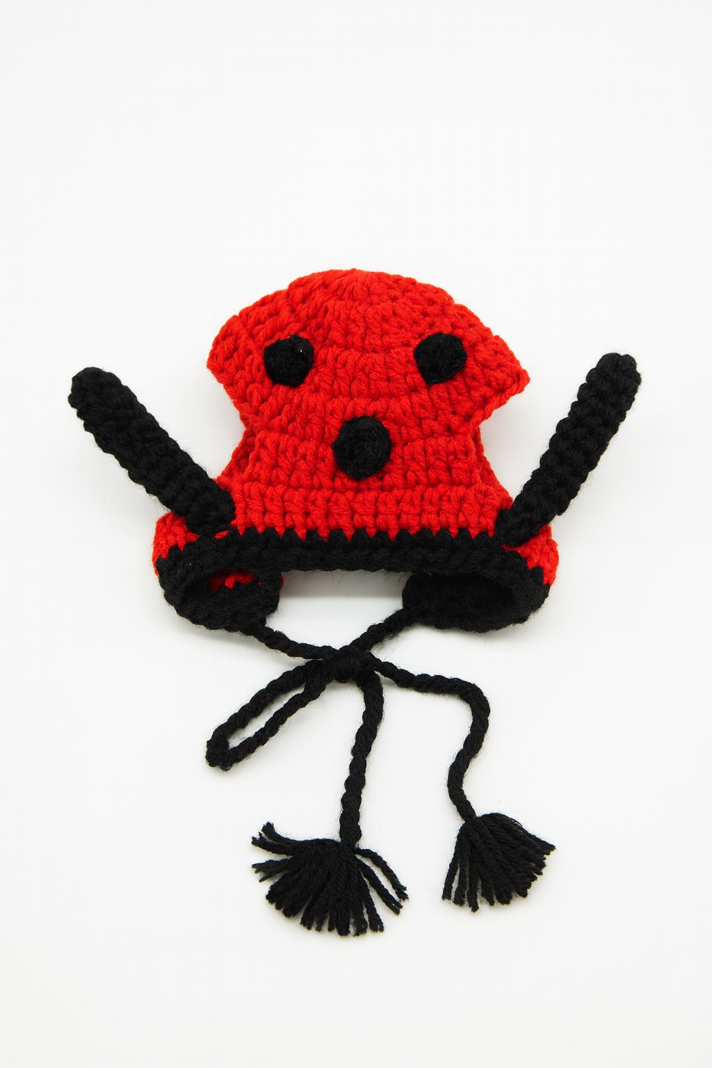 Ladybug Handmade Crochet Hat