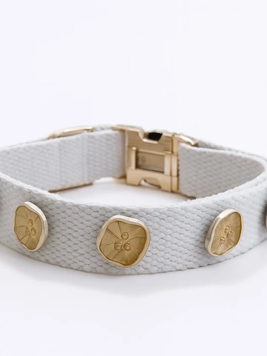 Gray dog collar with gold buttons