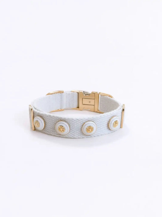 White dog collar with gold accents 