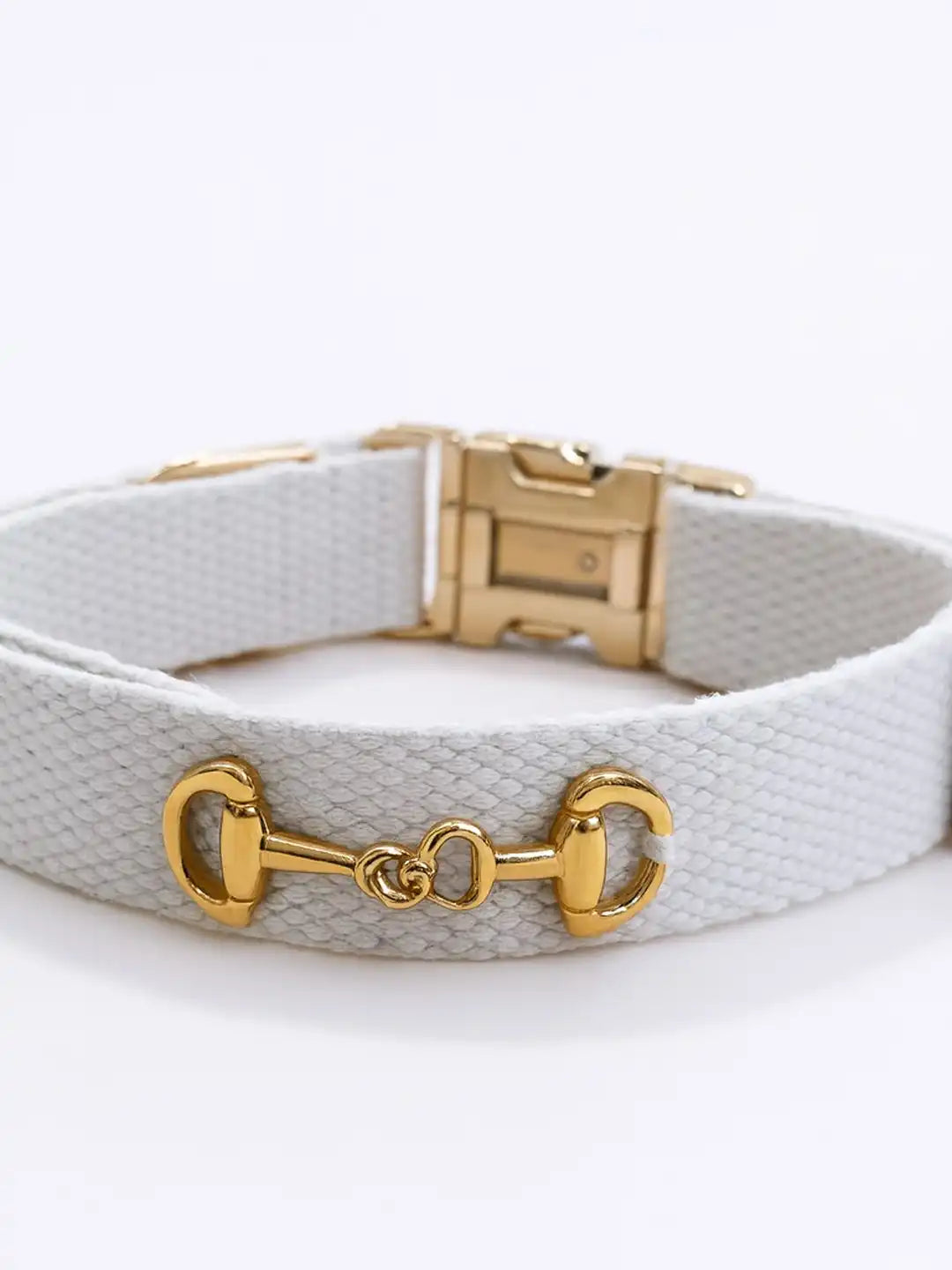 White dog collar with gold hardware 
