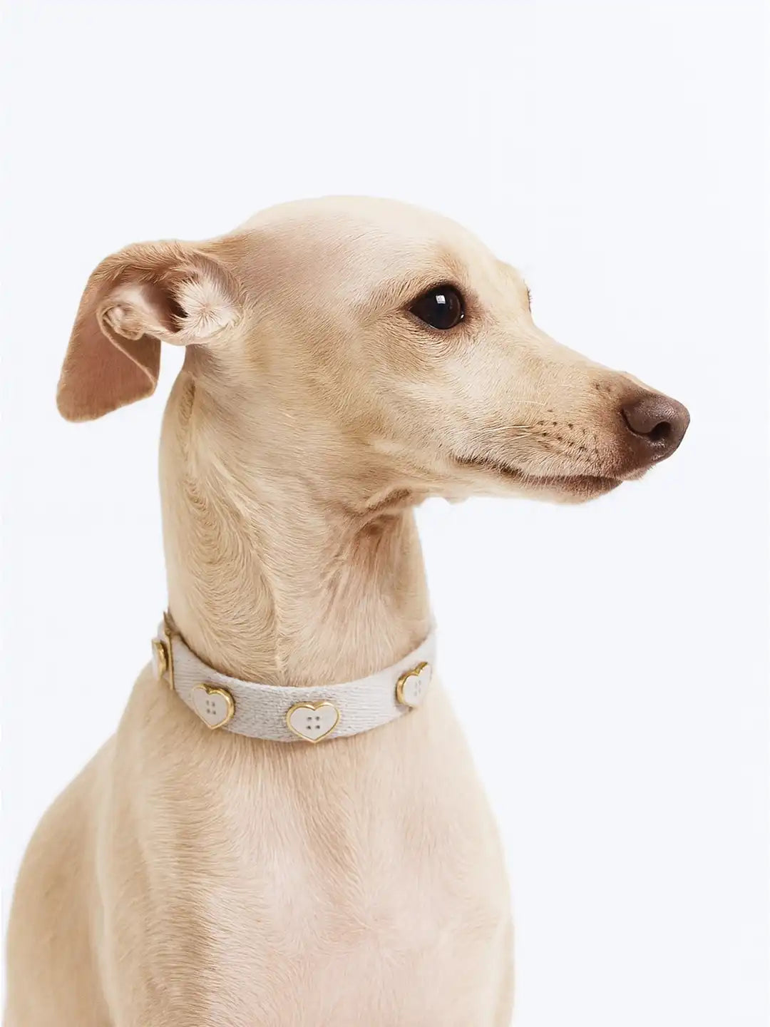 Organic White Heart Pet Collars