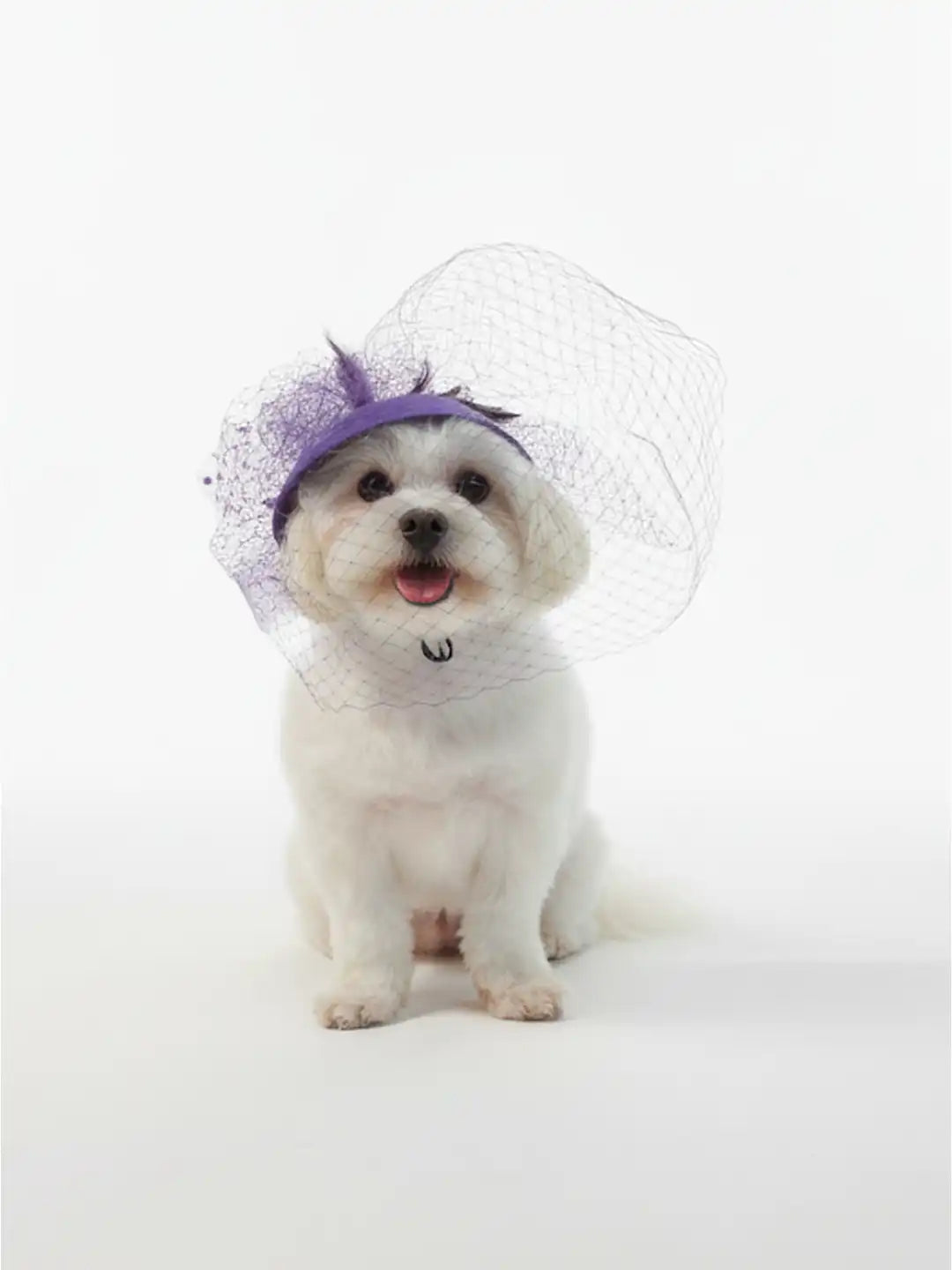 Polo Match Hat for Pets 
