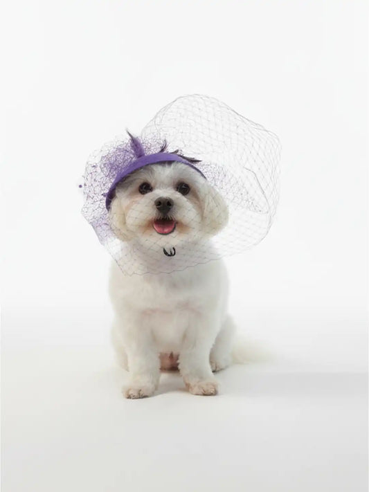 Polo Match Hat for Pets 