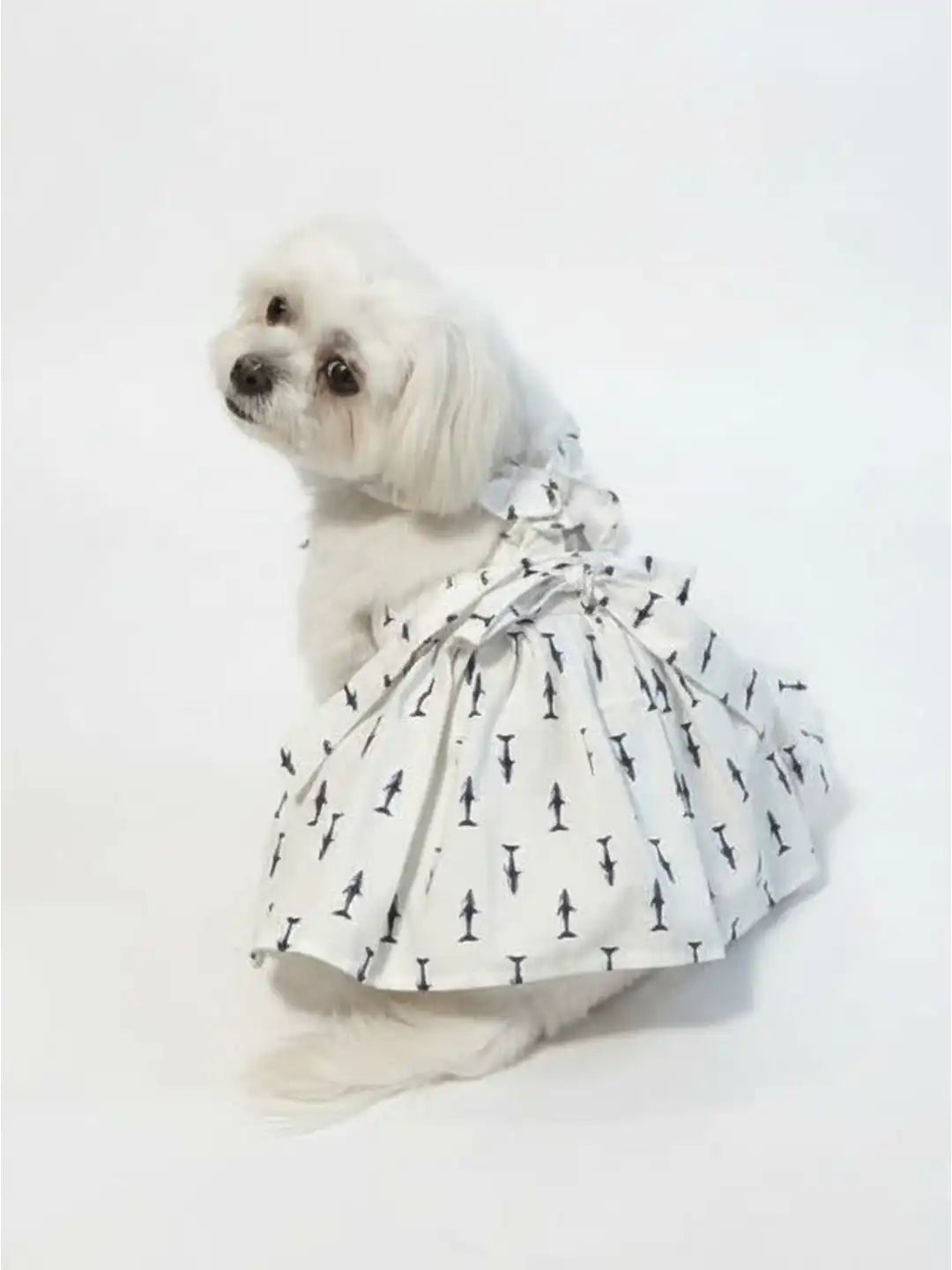  dog wearing a black and white patterned dress 