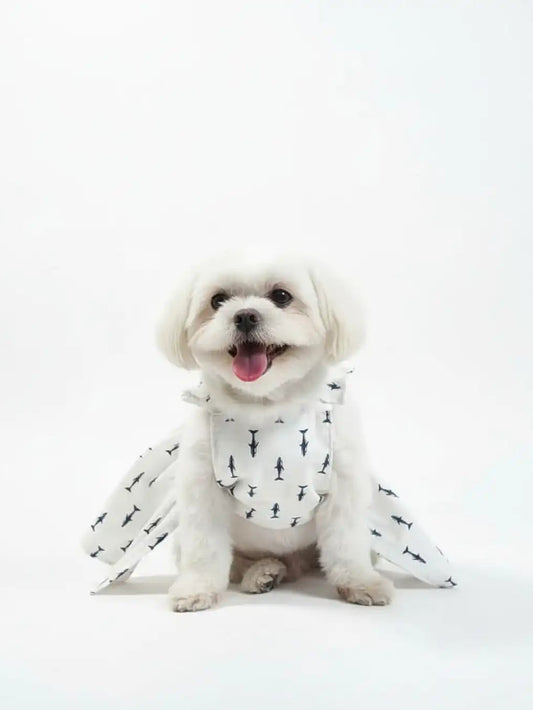 white dog wearing a patterned outfit 