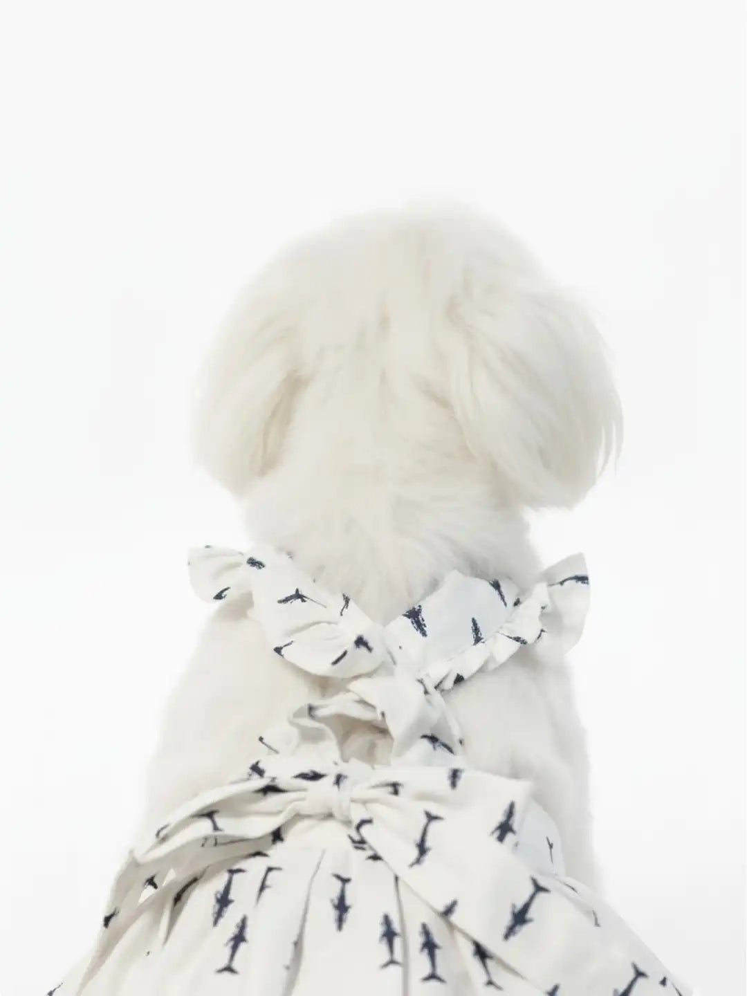 white dog wearing a dress with shark print 