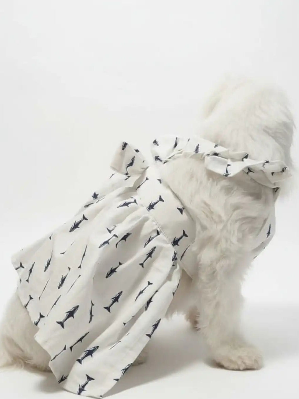 Dog wearing a white dress with black shark print 